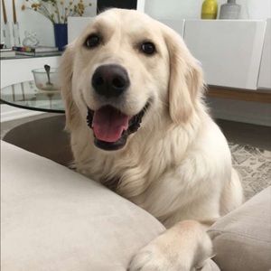 Meet your Posher, Daniella